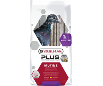411057 Plus I.C.+ Mutine